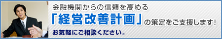 経営改善計画策定支援サービス